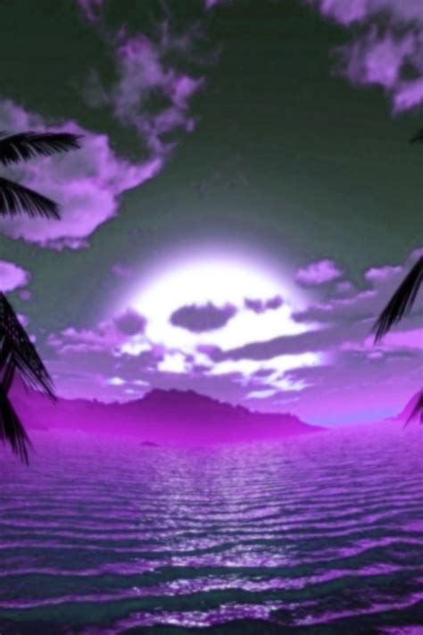 Free Download Purple Sunset Download Wallpaper For Iphone 640x960 For