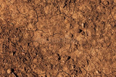 Brown Earth Background Stock Photo Image Of Grunge Soil 24512906
