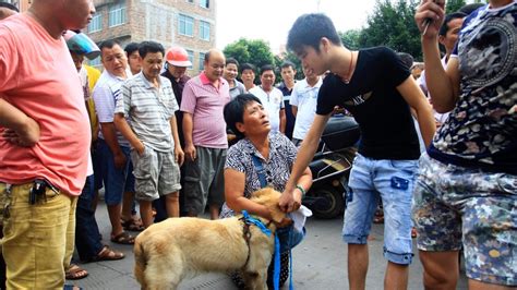 Chinas Dog Meat Festivals Slowly Losing Popularity