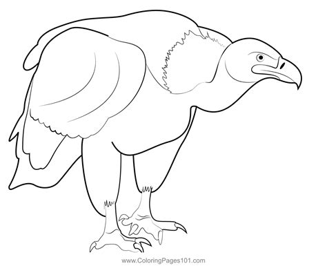 Walking Vulture Coloring Page For Kids Free Hawks And Eagles