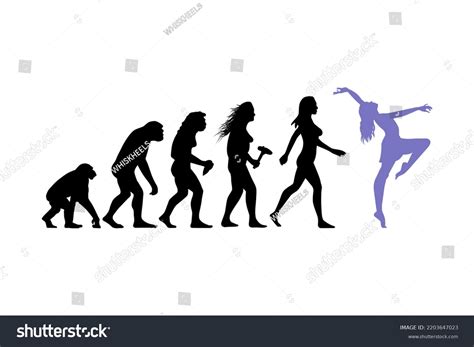 Theory Evolution Woman Silhouette Ape Dancer Stock Vector Royalty Free