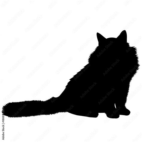 Ragdoll Cat Silhouette Vector Graphics Stock Vector Adobe Stock
