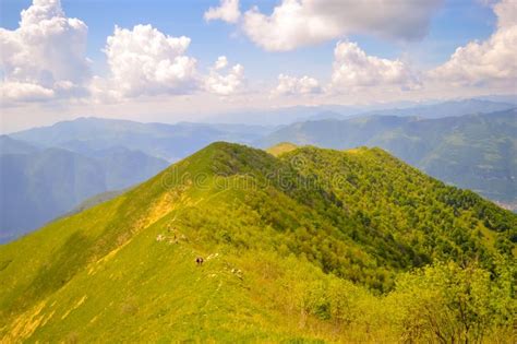 A Summer Day View Of Peak Of A High Green Mountain With Green And