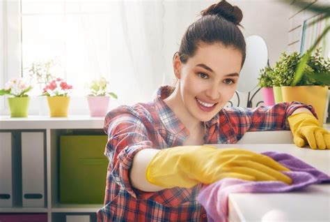 Funciones De Una Empleada Doméstica ¿sabes Cuáles Son