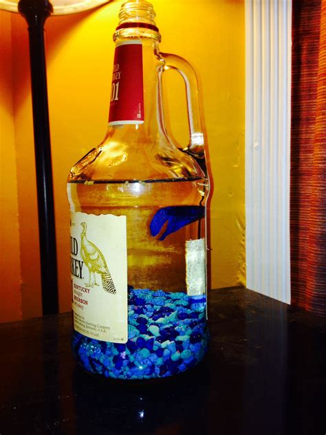 Wild turkey liquor bottle fish tank! | Wine bottle candles, Alcohol bottle crafts, Wine bottle ...