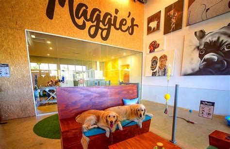 Maggies Dog Cafe Unique Cafés Hidden City Secrets