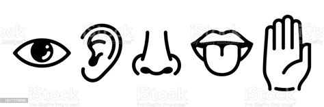 Five Human Senses Icons Set Vision Hearing Smell Touch Taste Signs