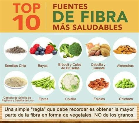 Top 10 Fuentes De Fibras Más Saludables Healthy High Fiber Foods