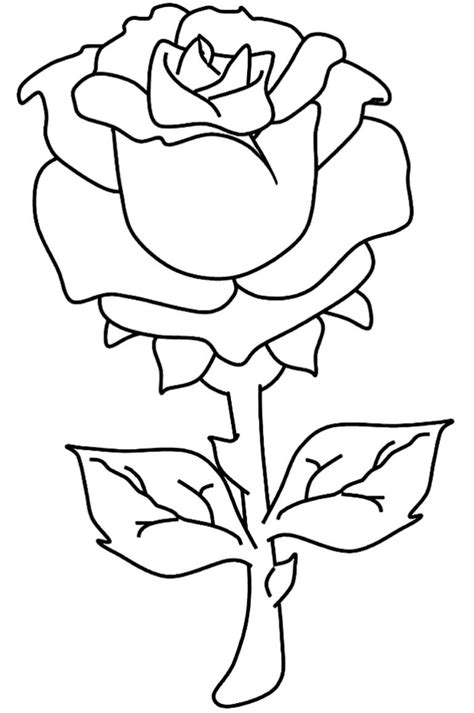 Desenhos de Rosa para colorir Dicas Práticas