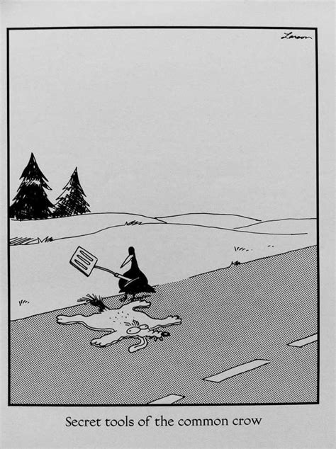 The Crow Far Side Cartoons Funny One Liners Animal Humour