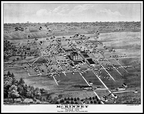 Mckinney Texas Vintage Map Birds Eye View 1876 Black And White