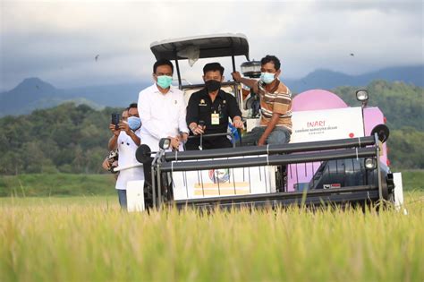 Mentan Dorong Barru Jadi Sentra Beras Nasional