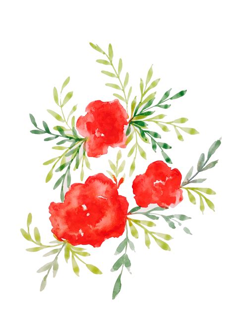 Transparent Red Rose Watercolor png image