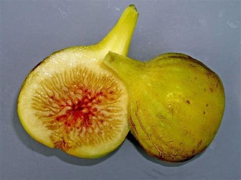 Polynesian Produce Stand Yellow Long Neck Fig Ficus Carica Yummy