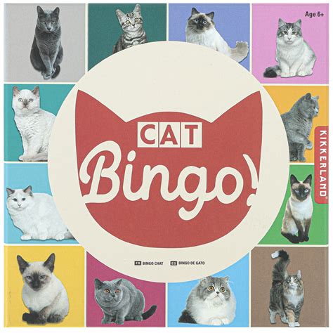 Cat Bingo 2 4 Players Ages 6 And Older Mardel 4028536