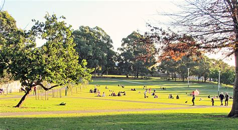 8 Best Parks For Picnics In Toronto Blogs Tripatini