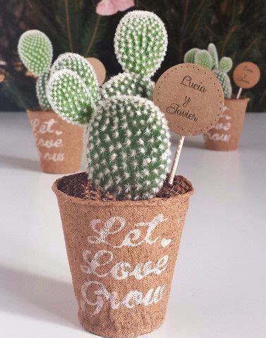 ¡con opción de cactus incluido! detalles-invitados-cactus-crasas-regalo-ecologico-boda ...