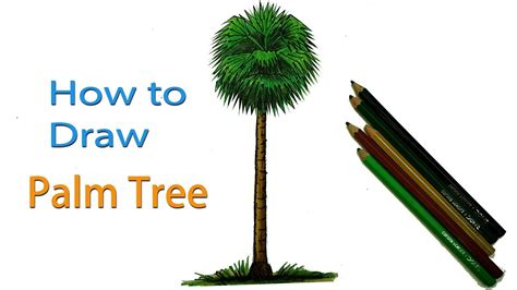 How To Draw Palm Tree Step By Step Very Easy Youtube