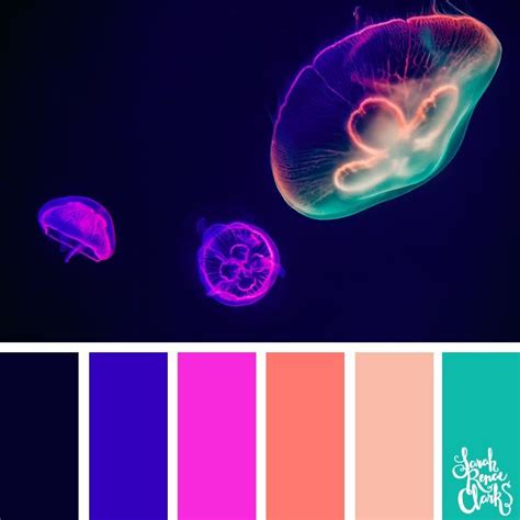 Rainbow Jellyfish Inspiration These 25 Color Combinations Are