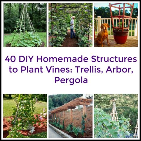 The trellis is a hallmark of a flourishing outdoor space. 40 DIY Homemade Structures to Plant Vines: Trellis, Arbor, Pergola