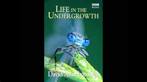 Life In The Undergrowth Soundtrack Series Opening Montage Youtube