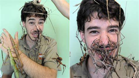 Can You Believe The Sticks On This Guys Face Are Actually Bugs