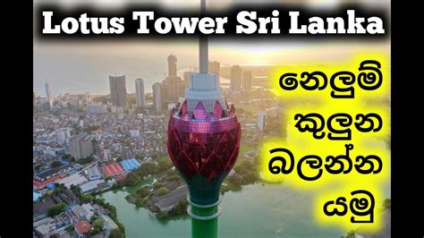 Nelum Kuluna Nelum Kuluna Sri Lanka Nelum Kuluna Inside Colombo
