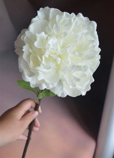 Real Touch White Peony Flowers Single Stem Artificial Open Peony