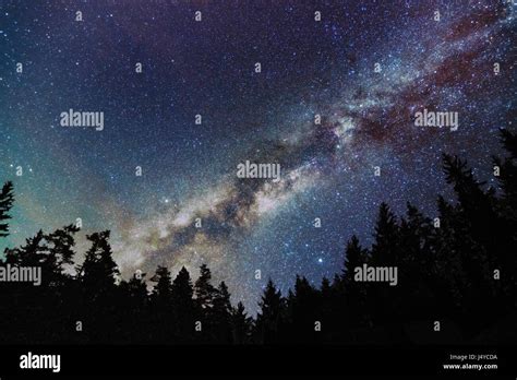 Milky Way Galaxy Starry Sky With Trees Starry Night Stock Photo Alamy