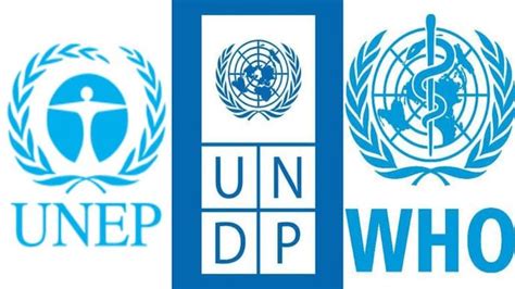 14 Important United Nations Agencies And Their Roles India Today