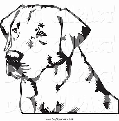 Labrador Retriever Dog Clip Vector Clipart Silhouette
