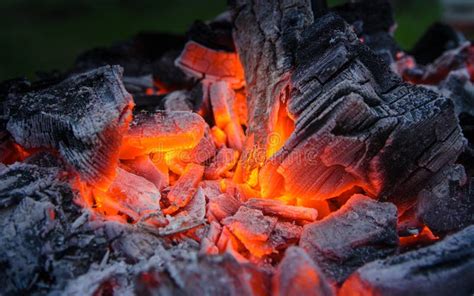 Smoldering Ashes Burning Coal Bbq Barbecue Stock Image Image Of