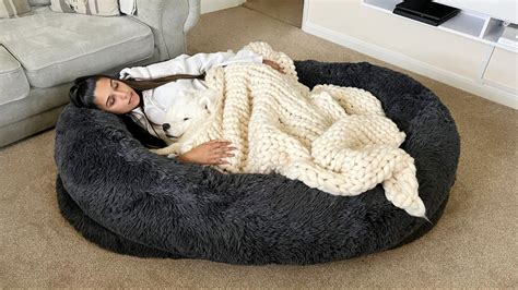 Milounge The Worlds Most Comfortable Human Dog Bed Lives Up To The Hype