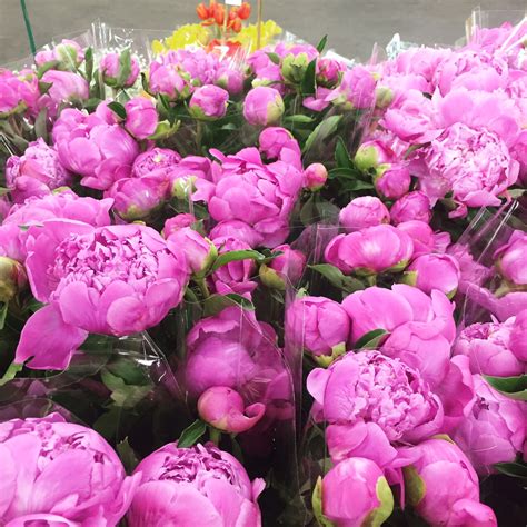 The color, texture, and even the feel to touch are exceeding other pink peony real touch flowers wedding centerpieces in vase bridesmaid bouquets silk wedding bouquets. Peony Centerpieces in Boston, MA | Central Square Florist ...