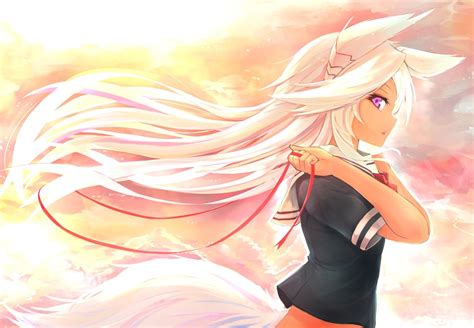 Beautiful white wolves wolves photo 32683870 fanpop. Anime Wolf Girl Wallpapers - Top Free Anime Wolf Girl Backgrounds - WallpaperAccess