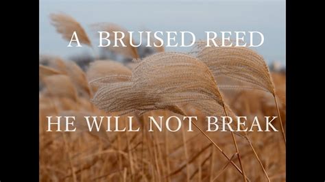 He Will Not Break A Bruised Reed By David Wilkerson Sermon