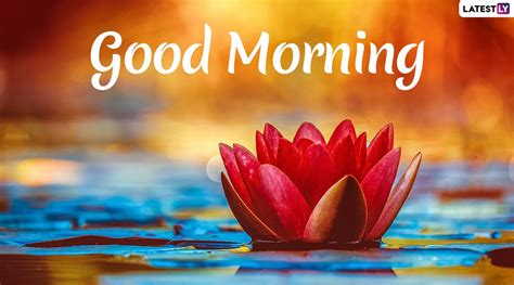It's time to wake up and do something important for this world. Send Good Morning HD Images & Wishes to Family & Friends ...