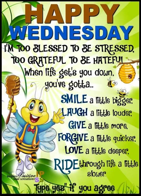 Happy Hump Day 🤗🐪 Good Morning Friends Quotes Happy Good Morning Quotes Happy Wednesday Quotes