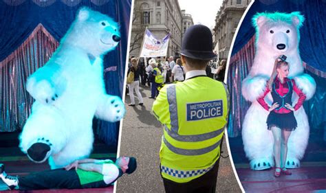 angry gran blasts circus for dancing polar bear without realising it s a man in a suit uk