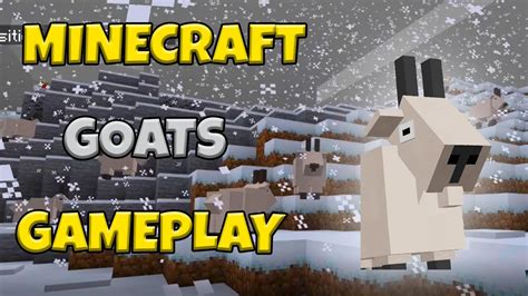 Gameplay Goats In Minecraft Pe Minecon Biome Winner Youtube