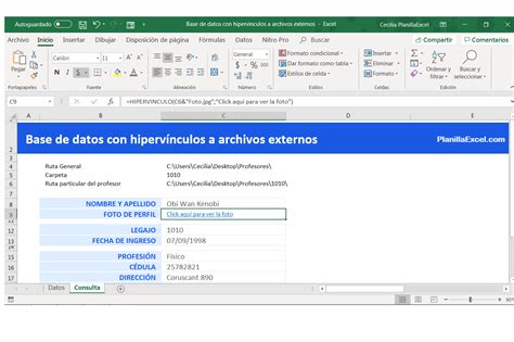 C Mo Hacer Una Base De Datos En Excel Con Enlaces A Archivos