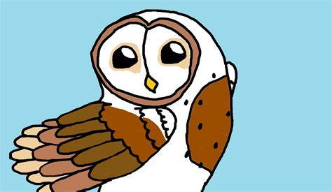 Animated Owl Cartoon  Clip Art Library