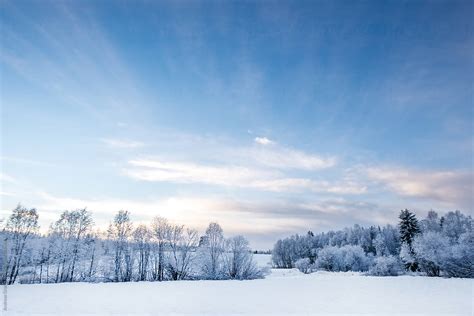 Winter Landscape In Sweden By Stocksy Contributor Andreas Gradin