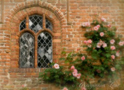 Castles And Cottages Roses Climbing Windows