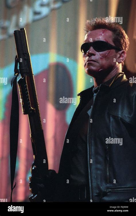 Jan 1 2003 Terminator 3 Rise Of The Machines T3 Arnold