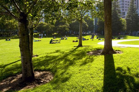 San Franciscos 20 Best Parks To Relax In Lonely Planet