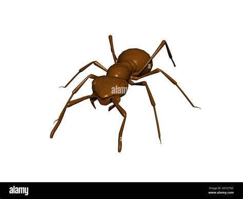 Brown Forest Ant Crawls Around Stock Photo Alamy