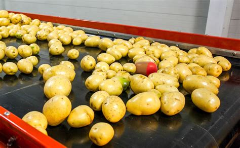 New Product Wireles Potato Node Potato Grower Magazine