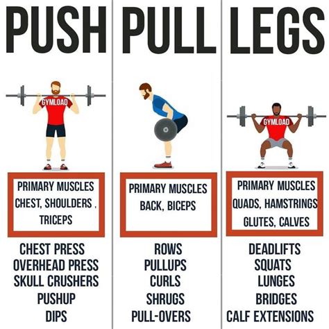 Build Muscle Gains And Strength With This Push Pull Split Structure