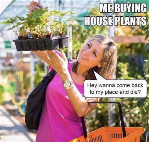 When My Gf Tries To Buy Another Plant For The House Gardening Memes House Plants Gardening Humor